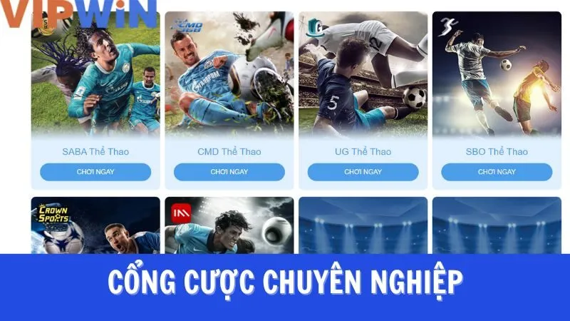 Những trò cá cược thể thao nổi bật tại VIPWIN Những trò cá cược thể thao nổi bật tại VIPWIN