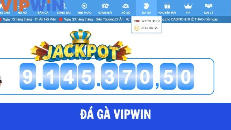 Tổng quan về cá cược đá gà VIPWIN Tổng quan về cá cược đá gà VIPWIN