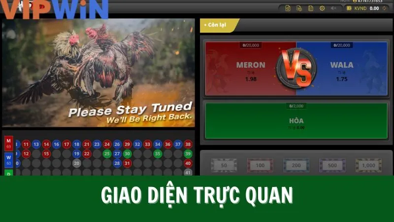 Đá gà VIPWIN sẽ còn cập nhật các hình thức cá cược mới Đá gà VIPWIN sẽ còn cập nhật các hình thức cá cược mới
