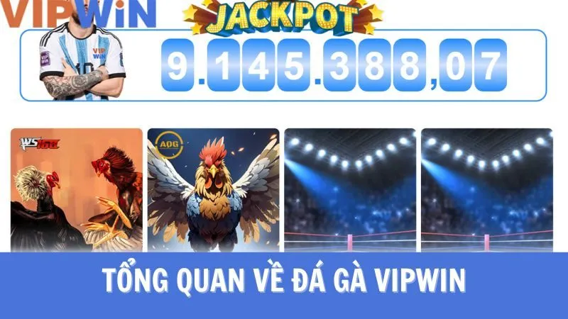 Tải app đá gà VIPWIN để trải nghiệm cá cược tối ưu nhất Tải app đá gà VIPWIN để trải nghiệm cá cược tối ưu nhất