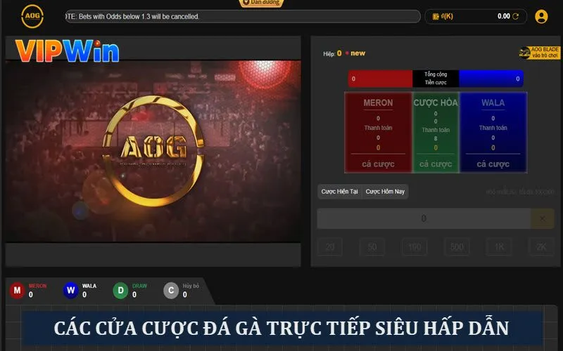 Đá Gà Trực Tiếp: Top 5 Các Trận Chiến Hấp Dẫn Thưởng “Khủng” 7 Các cửa cược đá gà tại sảnh chơi nhà cái Vipwin