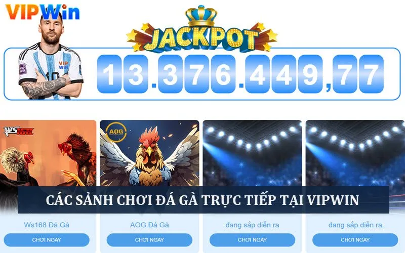 Đá Gà Trực Tiếp: Top 5 Các Trận Chiến Hấp Dẫn Thưởng “Khủng” 8 Các sảnh chơi chọi gà trực tiếp ở Vip win