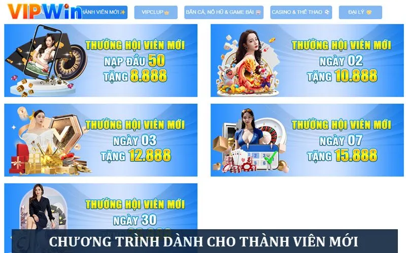 Các chương trình hot dành cho thành viên mới đăng ký Các chương trình hot dành cho thành viên mới đăng ký