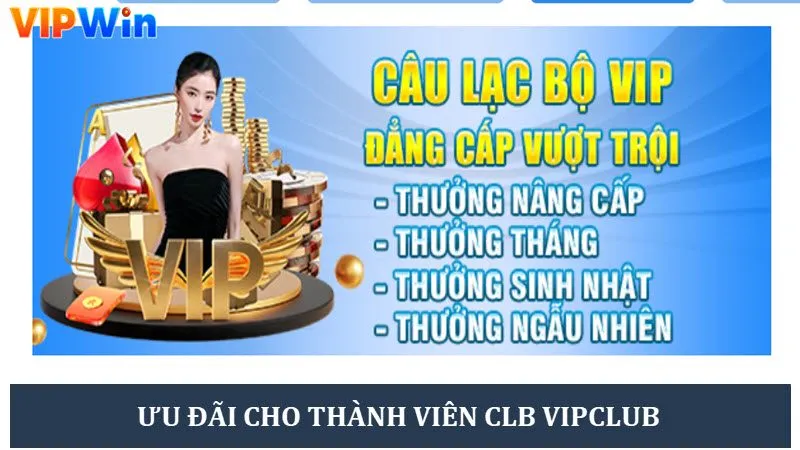 Chương trình tri ân dịp đặc biệt cho hội viên VIPCLUB Chương trình tri ân dịp đặc biệt cho hội viên VIPCLUB